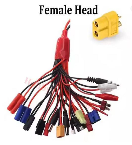 19-in-1 Charge lead (XT60)